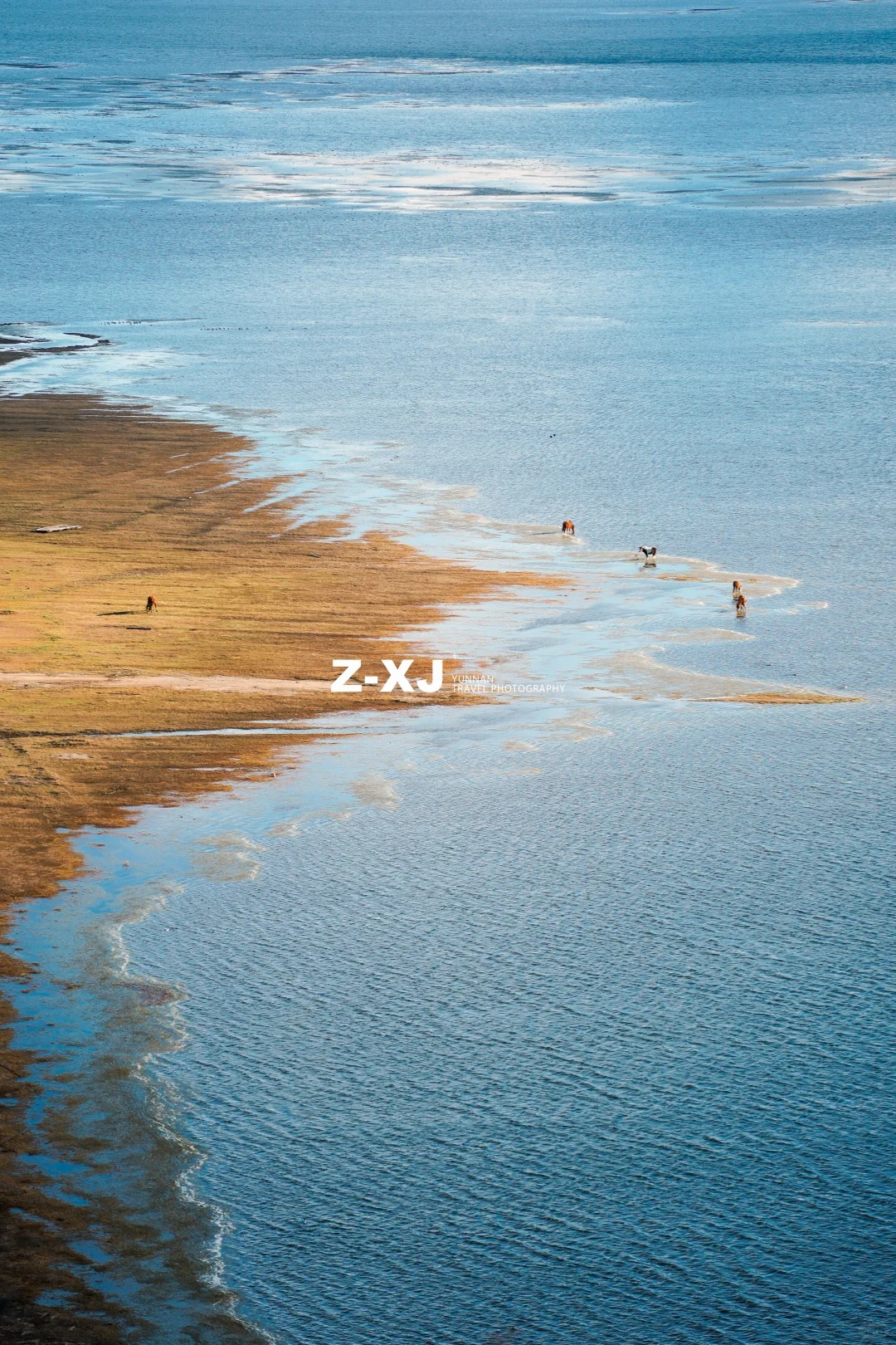 把今年的秋天🍂留给香格里拉_2_赵相机📸_云南-香格里拉-来自52tours 我爱旅游网